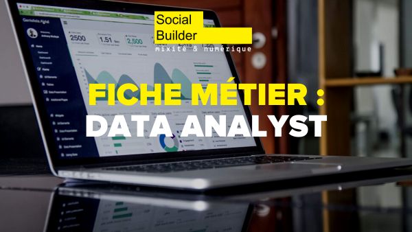 Fiche métier : Data Analyst